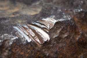 Cobalt base high temp alloy